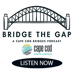 BRIDGEPOD